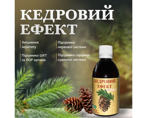 Кедровый эффект смесь масел для комплексной поддержки организма 100 мл